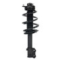 PRT Suspension Strut and Coil Spring Assembly P/N:920290