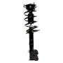 PRT Suspension Strut and Coil Spring Assembly P/N:818934
