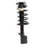 PRT Suspension Strut and Coil Spring Assembly P/N:816631