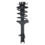 PRT Suspension Strut and Coil Spring Assembly P/N:920023
