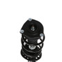 PRT Suspension Strut and Coil Spring Assembly P/N:818689