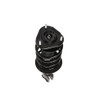PRT Suspension Strut and Coil Spring Assembly P/N:818596