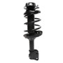PRT Suspension Strut and Coil Spring Assembly P/N:818241