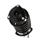 PRT Suspension Strut and Coil Spring Assembly P/N:818985