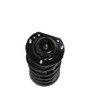 PRT Suspension Strut and Coil Spring Assembly P/N:813494