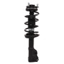 PRT Suspension Strut and Coil Spring Assembly P/N:810162