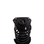 PRT Suspension Strut and Coil Spring Assembly P/N:815365