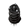 PRT Suspension Strut and Coil Spring Assembly P/N:816658