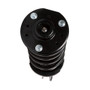 PRT Suspension Strut and Coil Spring Assembly P/N:815953