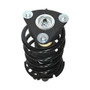 PRT Suspension Strut and Coil Spring Assembly P/N:818962