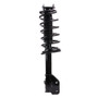 PRT Suspension Strut and Coil Spring Assembly P/N:920361
