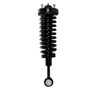 PRT Suspension Strut and Coil Spring Assembly P/N:714087