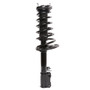 PRT Suspension Strut and Coil Spring Assembly P/N:816633