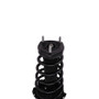 PRT Suspension Strut and Coil Spring Assembly P/N:814909