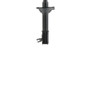 PRT Suspension Strut P/N:474758