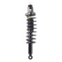 PRT Suspension Strut and Coil Spring Assembly P/N:920343