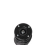 PRT Suspension Strut and Coil Spring Assembly P/N:817154