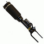 Westar Air Suspension Strut P/N:AS-7319