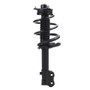 PRT Suspension Strut and Coil Spring Assembly P/N:920150
