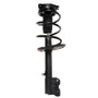 PRT Suspension Strut and Coil Spring Assembly P/N:817250