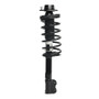 PRT Suspension Strut and Coil Spring Assembly P/N:816643