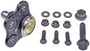 Dorman - Premium Suspension Ball Joint P/N:BJ22015PR