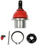 Dorman - OE Solutions Suspension Ball Joint P/N:BJ86065RD