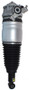 Westar Air Suspension Strut P/N:AS-7384