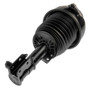 PRT Air Suspension Strut P/N:992200