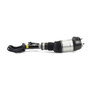 Arnott Industries Air Suspension Strut P/N:AS-3061