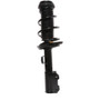 PRT Suspension Strut and Coil Spring Assembly P/N:817177