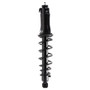 PRT Suspension Strut and Coil Spring Assembly P/N:920088