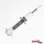 RS5000X Strut