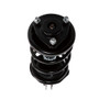 PRT Suspension Strut and Coil Spring Assembly P/N:814978