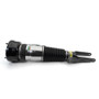 Arnott Industries Air Suspension Strut P/N:ASE-4385