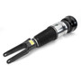 Arnott Industries Air Suspension Strut ASE-4385 - view 6