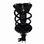 PRT Suspension Strut and Coil Spring Assembly P/N:818592