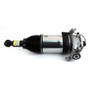 Arnott Industries Air Suspension Strut ASE-4375