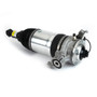 Arnott Industries Air Suspension Strut ASE-4375 - view 2