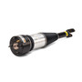 Arnott Industries Air Suspension Strut P/N:AS-2890