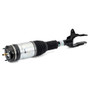 Arnott Industries Air Suspension Strut AS-3250 - view 2