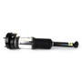 Arnott Industries Air Suspension Strut P/N:ASE-3819