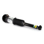 Arnott Industries Air Suspension Strut P/N:ASE-3819