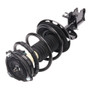 PRT Suspension Strut and Coil Spring Assembly P/N:920182