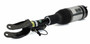 Arnott Industries Air Suspension Strut P/N:AS-3409