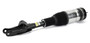 Arnott Industries Air Suspension Strut P/N:AS-3249