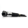 Arnott Industries Air Suspension Strut ASE-4386