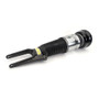 Arnott Industries Air Suspension Strut ASE-4386 - view 8