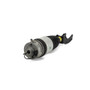 Arnott Industries Air Suspension Strut P/N:AS-3056