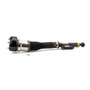 Arnott Industries Air Suspension Strut P/N:AS-2603